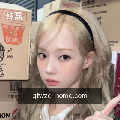 韩磊